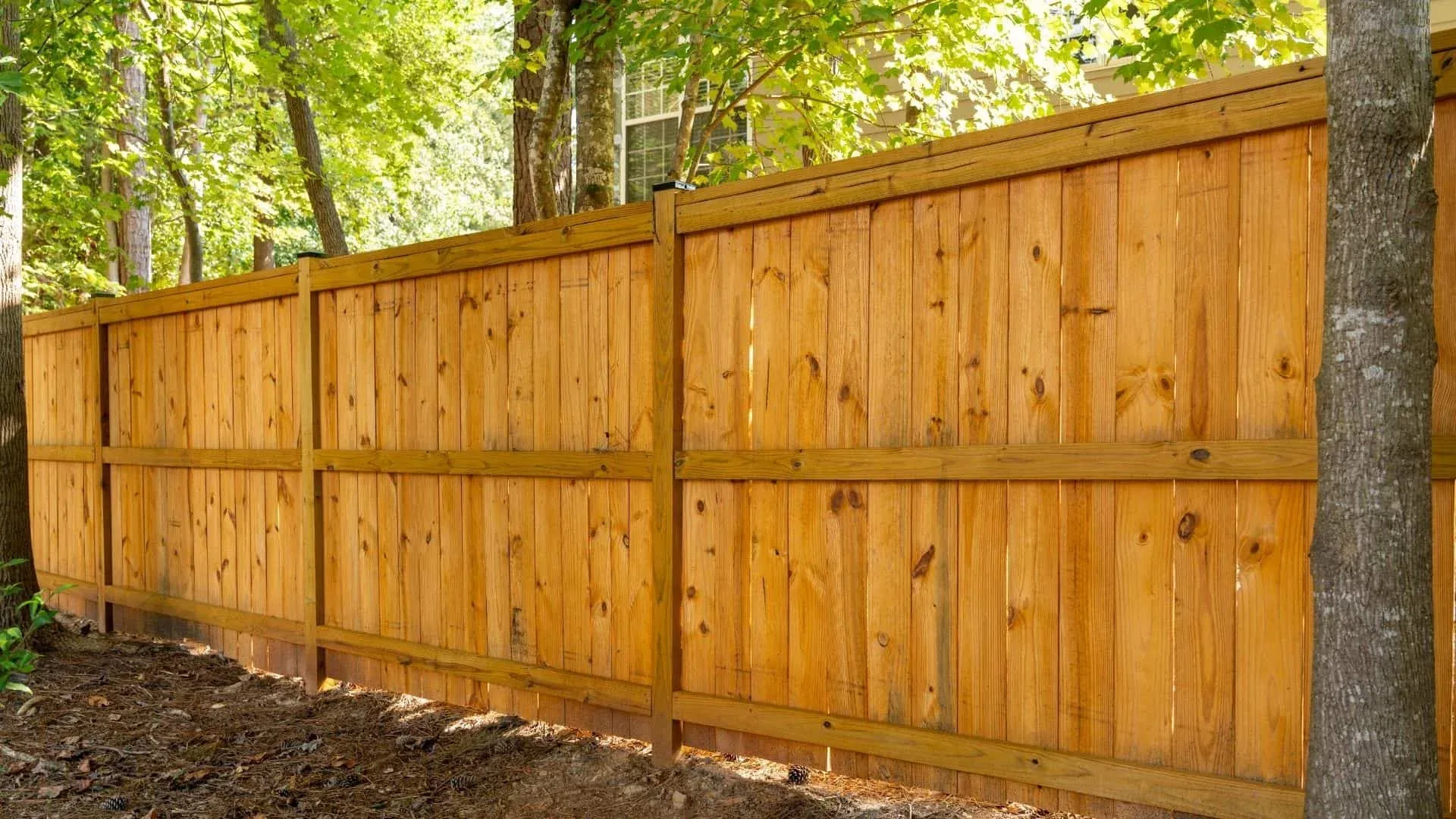 Privacy fence with wood stain in Austin backyard
