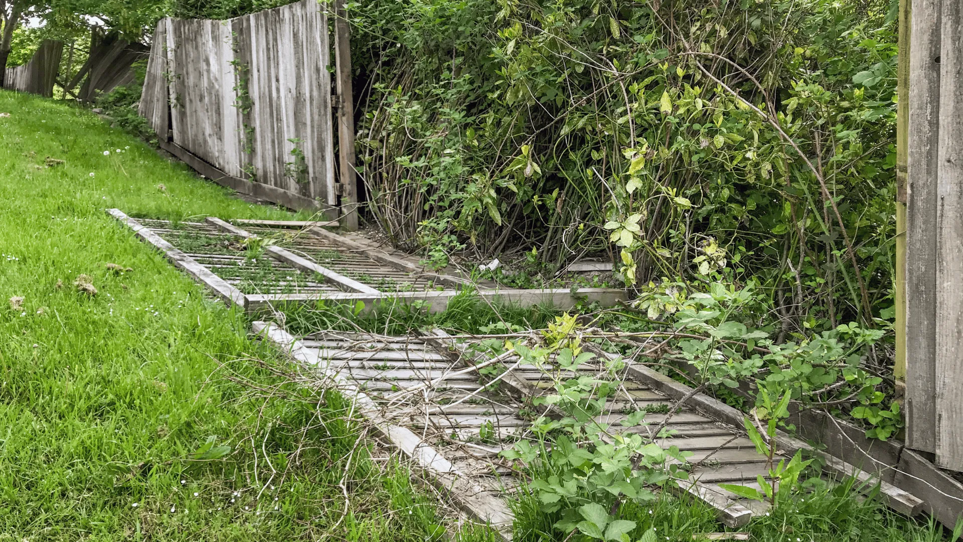 Fence repair service fixing damaged panels in Austin